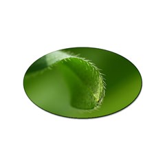 Leaf Sticker (oval) by Siebenhuehner