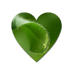 Leaf Magnet (heart) by Siebenhuehner