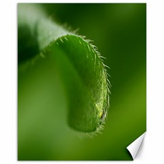 Leaf Canvas 16  X 20  (unframed) by Siebenhuehner