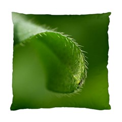 Leaf Cushion Case (two Sided)  by Siebenhuehner