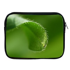 Leaf Apple Ipad 2/3/4 Zipper Case by Siebenhuehner