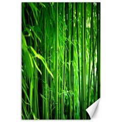 Bamboo Canvas 24  X 36  (unframed) by Siebenhuehner