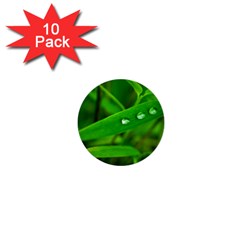 Bamboo Leaf With Drops 1  Mini Button (10 Pack) by Siebenhuehner