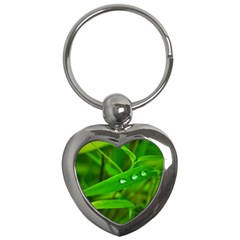 Bamboo Leaf With Drops Key Chain (heart) by Siebenhuehner