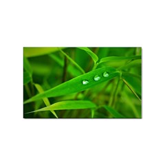 Bamboo Leaf With Drops Sticker (rectangle) by Siebenhuehner