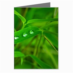 Bamboo Leaf With Drops Greeting Card by Siebenhuehner