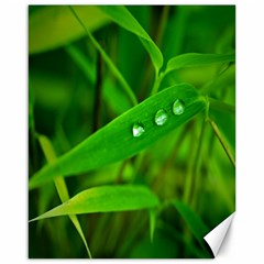 Bamboo Leaf With Drops Canvas 16  X 20  (unframed) by Siebenhuehner