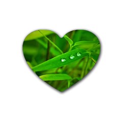 Bamboo Leaf With Drops Drink Coasters (heart) by Siebenhuehner