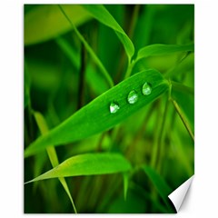 Bamboo Leaf With Drops Canvas 11  X 14  (unframed) by Siebenhuehner