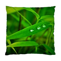 Bamboo Leaf With Drops Cushion Case (two Sided)  by Siebenhuehner