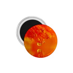 Waterdrops 1 75  Button Magnet by Siebenhuehner