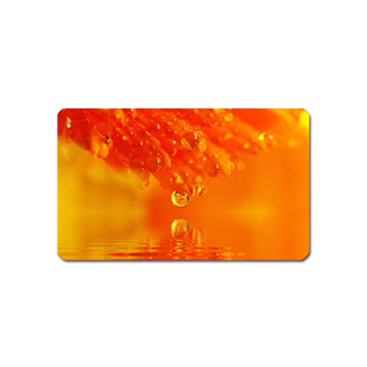 Waterdrops Magnet (Name Card)