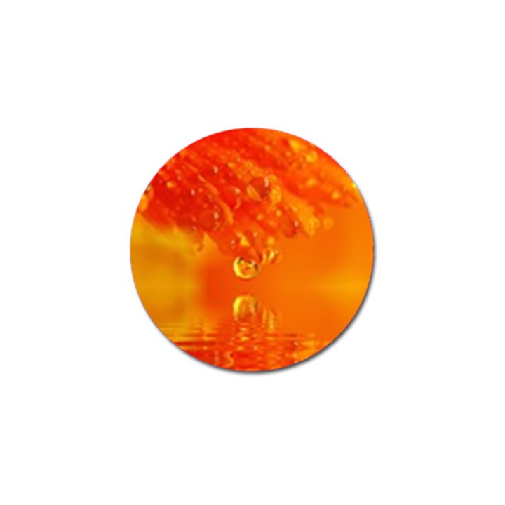 Waterdrops Golf Ball Marker 4 Pack