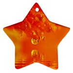 Waterdrops Star Ornament (Two Sides) Back