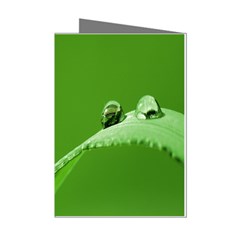 Waterdrops Mini Greeting Card (8 Pack) by Siebenhuehner