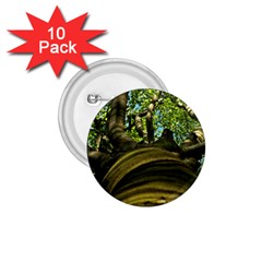 Tree 1 75  Button (10 Pack)