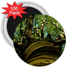 Tree 3  Button Magnet (100 Pack)