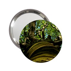 Tree Handbag Mirror (2 25 )