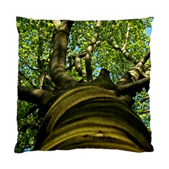 Tree Cushion Case (single Sided)  by Siebenhuehner