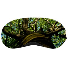 Tree Sleeping Mask by Siebenhuehner