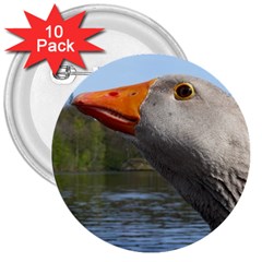 Geese 3  Button (10 Pack) by Siebenhuehner