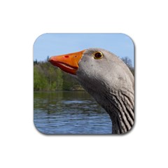 Geese Drink Coaster (square) by Siebenhuehner