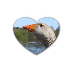 Geese Drink Coasters (heart) by Siebenhuehner