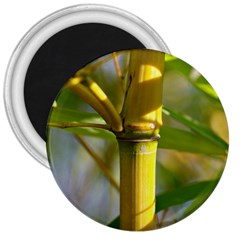 Bamboo 3  Button Magnet by Siebenhuehner