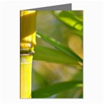 Bamboo Greeting Card (8 Pack) Left