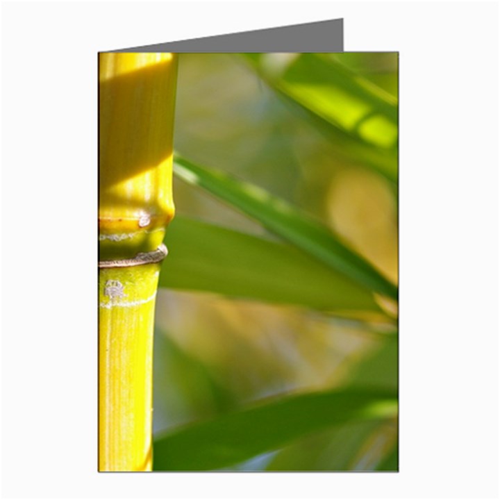 Bamboo Greeting Card (8 Pack)