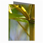 Bamboo Greeting Card (8 Pack) Right