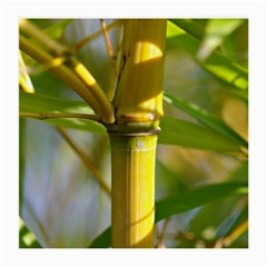 Bamboo Glasses Cloth (medium) by Siebenhuehner