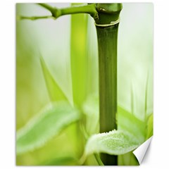 Bamboo Canvas 8  X 10  (unframed)