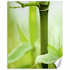 Bamboo Canvas 16  X 20  (unframed) by Siebenhuehner