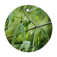 Bamboo Round Ornament by Siebenhuehner