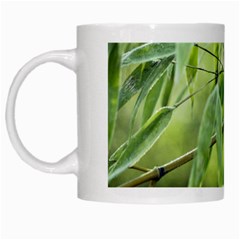 Bamboo White Coffee Mug by Siebenhuehner