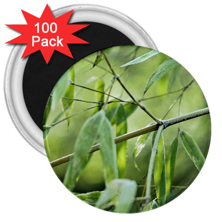 Bamboo 3  Button Magnet (100 pack)