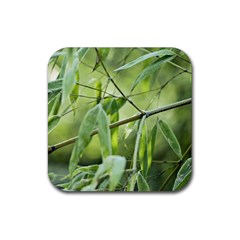 Bamboo Drink Coaster (square) by Siebenhuehner