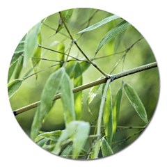 Bamboo Magnet 5  (round) by Siebenhuehner