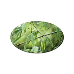 Bamboo Sticker 10 Pack (oval) by Siebenhuehner