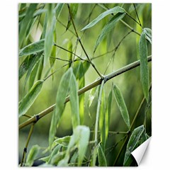 Bamboo Canvas 11  X 14  (unframed) by Siebenhuehner
