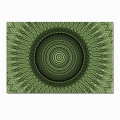 Mandala Postcard 4 x 6  (10 Pack) by Siebenhuehner