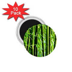 Bamboo 1 75  Button Magnet (10 Pack) by Siebenhuehner