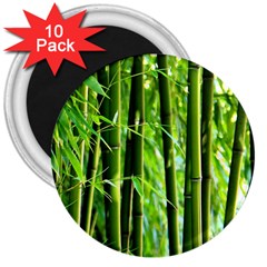 Bamboo 3  Button Magnet (10 Pack) by Siebenhuehner