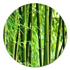 Bamboo Magnet 5  (round) by Siebenhuehner