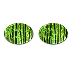 Bamboo Cufflinks (oval) by Siebenhuehner