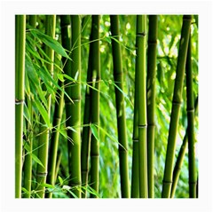 Bamboo Glasses Cloth (medium) by Siebenhuehner