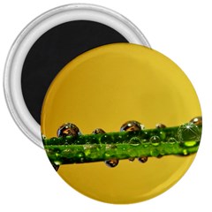 Drops 3  Button Magnet by Siebenhuehner