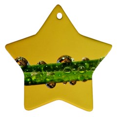 Drops Star Ornament (Two Sides)