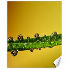 Drops Canvas 16  X 20  (unframed) by Siebenhuehner